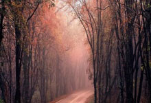 罗马后卫赛季报销，球队面临重大挑战