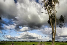 比利时强势登顶，晋级皆在掌握