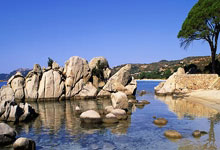 足球联赛各队积极备战新季赛程剧增惊喜